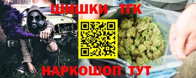 крисы Новозыбков