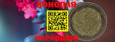 крисы Новозыбков