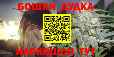 крисы Новозыбков
